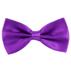 AnneCart Purple Satin Pre-Tied Bow Tie