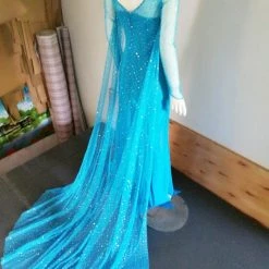 Annecart Frozen: Deluxe Elsa Costume