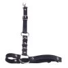 AnneCart PU Black Leather Chunky O-Ring Waist Garter 2 AnneCart PU Black Leather Chunky O-Ring Waist Garter