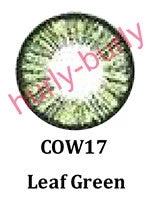 Dinna Leaf Green Natural Contact Lenses