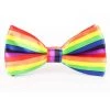 AnneCart Rainbow Satin Pre-Tied Bow Tie Neck Ties