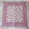 Hurly-Burly (b) White With Pink Paisley Bandana