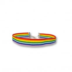 Annecart Rainbow Ribbon Choker