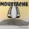 Interalia Medium Grey Moustache Costume Accessories