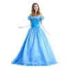 AnneCart Adults Cinderella Butterfly Gown