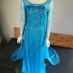 Annecart Frozen: Deluxe Elsa Costume