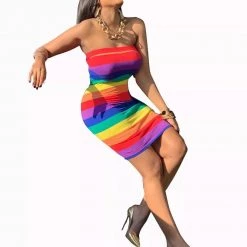 Hurly-Burly Rainbow Sexy Tube Dress Adults 10 Hurly-Burly Rainbow Sexy Tube Dress Adults