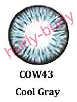 Dinna Cool Grey Natural Contact Lenses *CLEARANCE*