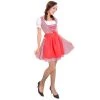 Hurly-Burly Red Checked Oktoberfest Dirndl Celebrations
