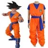 Annecart Anime & Video Games Dragon Ball Z Goku Costume