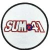 Hurly-Burly Sum 41 Iron On Patch
