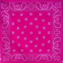 Hurly-Burly (b) Dark Pink Paisley Bandana