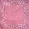 Hurly-Burly (b) Bandanas Light Pink Paisley Bandana