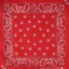 Hurly-Burly (b) Red Paisley Bandana