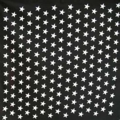 Hurly-Burly (b) Black Skull & Crossbones With Border Bandana