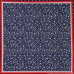 Hurly-Burly (b) Navy Star Field Bandana Bandanas