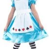 Hurly-Burly Girls Alice In Wonderland Costume