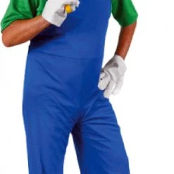 Sweidas Super Luigi Plumber Anime & Video Games