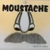 Interalia Grey Alberto Moustache