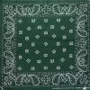 Hurly-Burly (b) Dark Green Paisley Bandana