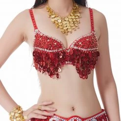 Best Dance Red Sequin Fringe Bra Top