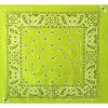 Hurly-Burly (b) Bandanas Apple Green Paisley Bandana