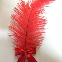 Hurly-Burly Red Feathered Hair Clip
