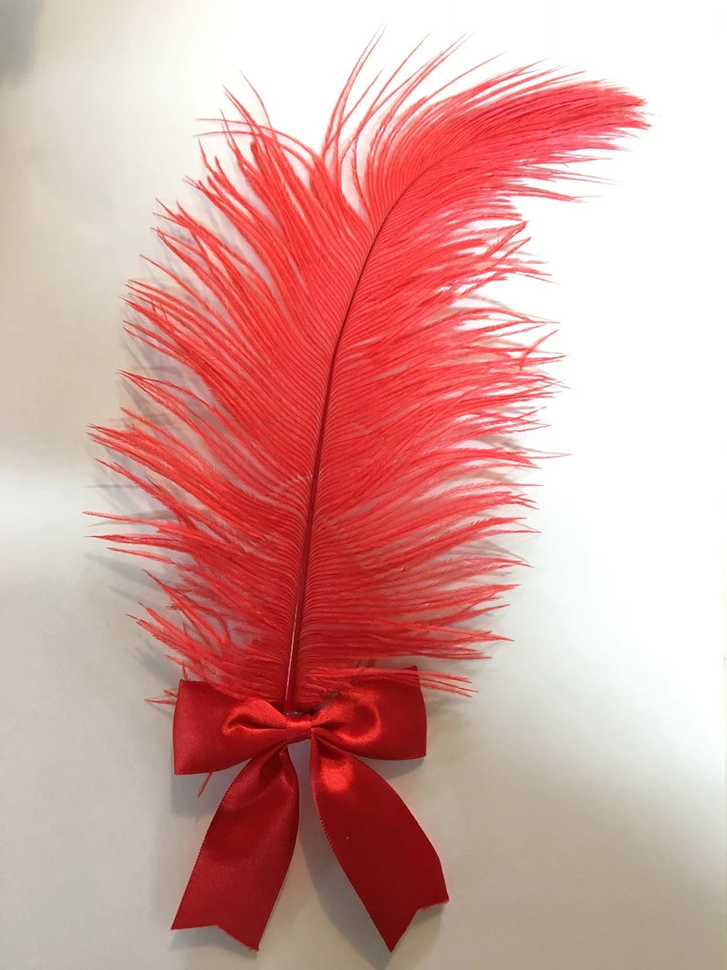 Hurly-Burly Red Feathered Hair Clip 3 Hurly-Burly Red Feathered Hair Clip