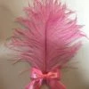 Hurly-Burly Pink Gatsby Feather Bow Hair Clip