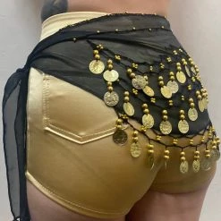 Best Dance Bellydance Gold Coin Belt Festival Wear