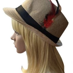 DHGate Tan Trilby Hat With Feather