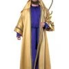 Rubies Deluxe Joseph Costume