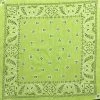 Hurly-Burly (b) Bandanas Lime Green Paisley Bandana