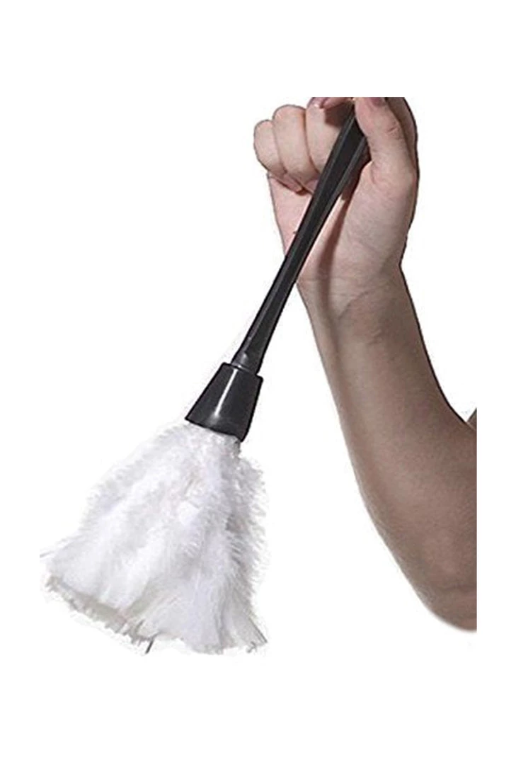 Annecart Maid Feather Duster Valentine's Day 3 Annecart Maid Feather Duster Valentine's Day