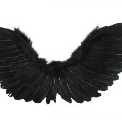 TomFoolery Large 90cm X 50cm Black Angel Wings