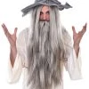 TomFoolery Wizard Wig And Beard 2 TomFoolery Wizard Wig And Beard