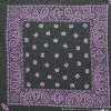 Hurly-Burly (b) Black With Purple Paisley Bandana