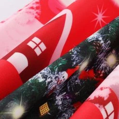 Hurly-Burly Red Snow Scene Christmas Print Dress