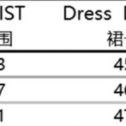 Instyles Black Pleather Corset Skirt