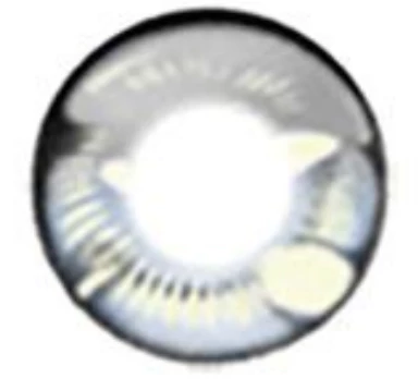 Hurly-Burly Grey Anime Contact Lenses Anime & Video Games 3 Hurly-Burly Grey Anime Contact Lenses Anime & Video Games