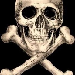 Hurly-Burly T-Shirts Mens Skull And Crossbones Monster Screen Factor T-shirt