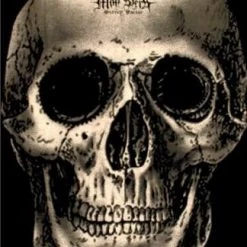 Hurly-Burly Mens Large Skull Monster Screen Factor T-shirt