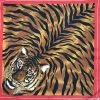Hurly-Burly (b) Tiger Print Bandana Bandanas