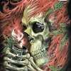 Hurly-Burly Smoking Red Skull Glow In The Dark Tee T-Shirts