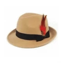 DHGate Celebrations Tan Felt Trilby Hat With Feather