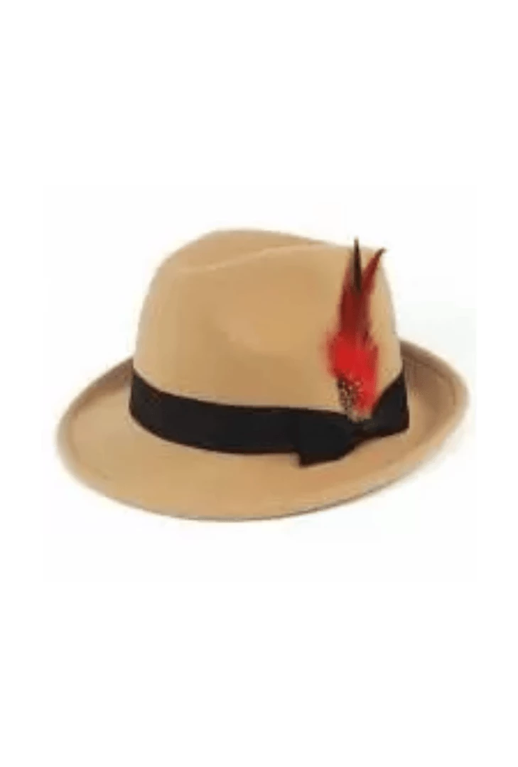 DHGate Celebrations Tan Felt Trilby Hat With Feather 3 DHGate Celebrations Tan Felt Trilby Hat With Feather