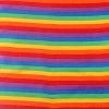 Hurly-Burly (b) Rainbow Bandana