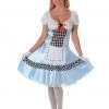 Gold Star Fairytale & Mystical Deluxe Alice In Wonderland Costume