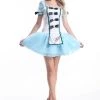 Unknown Alice In Wonderland Costume