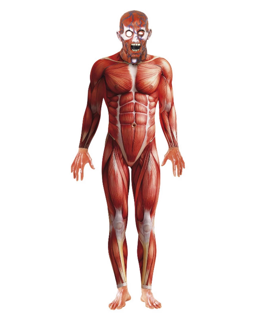 Smiffys Adults Anatomy Man Costume 3 Smiffys Adults Anatomy Man Costume